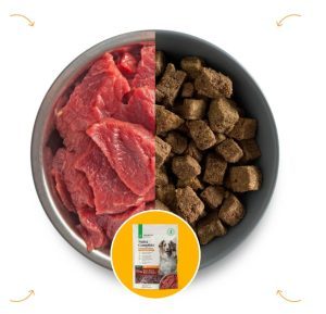 Nutra Complete Dog Food