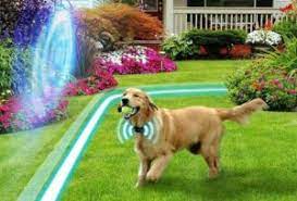 Invisible Dog Fence