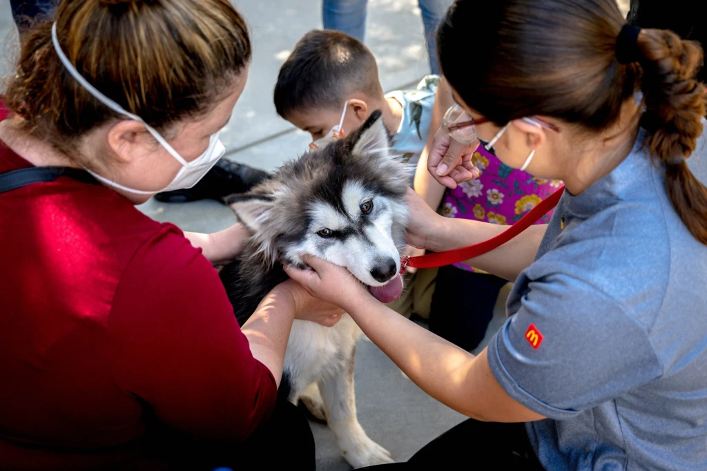 Norco Animal Shelter