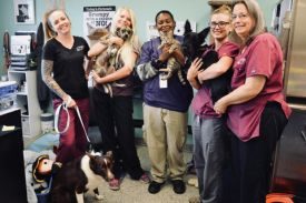 SAC SPCA
