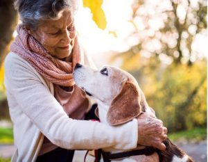 senior pet