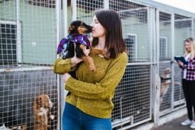 Visalia SPCA
