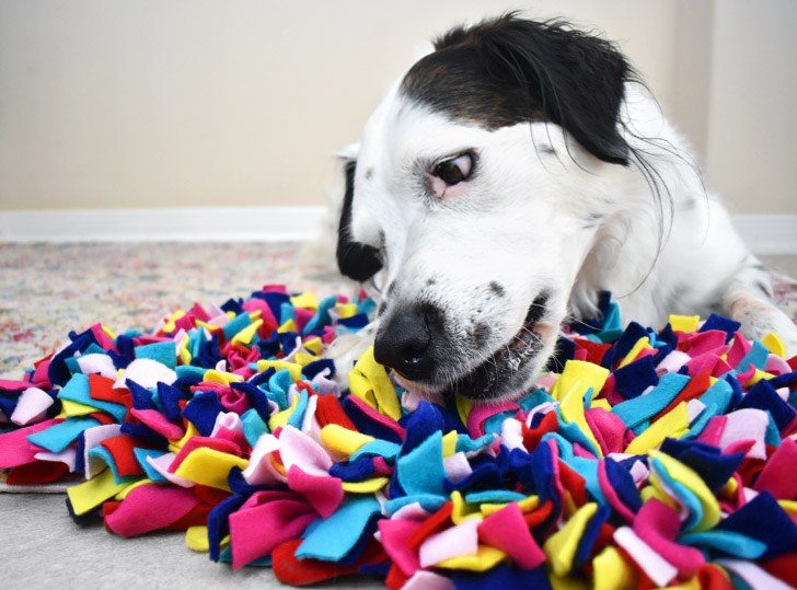 Snuffle Mat