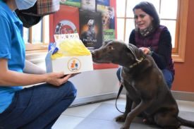Lahaska SPCA