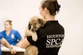 Houston SPCA