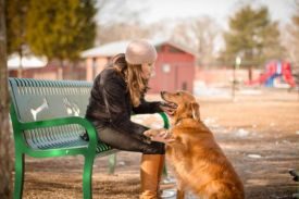 Dog Park