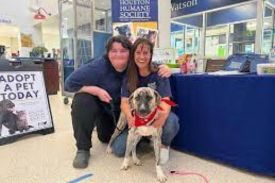 Houston SPCA