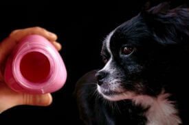 Pepto Bismol