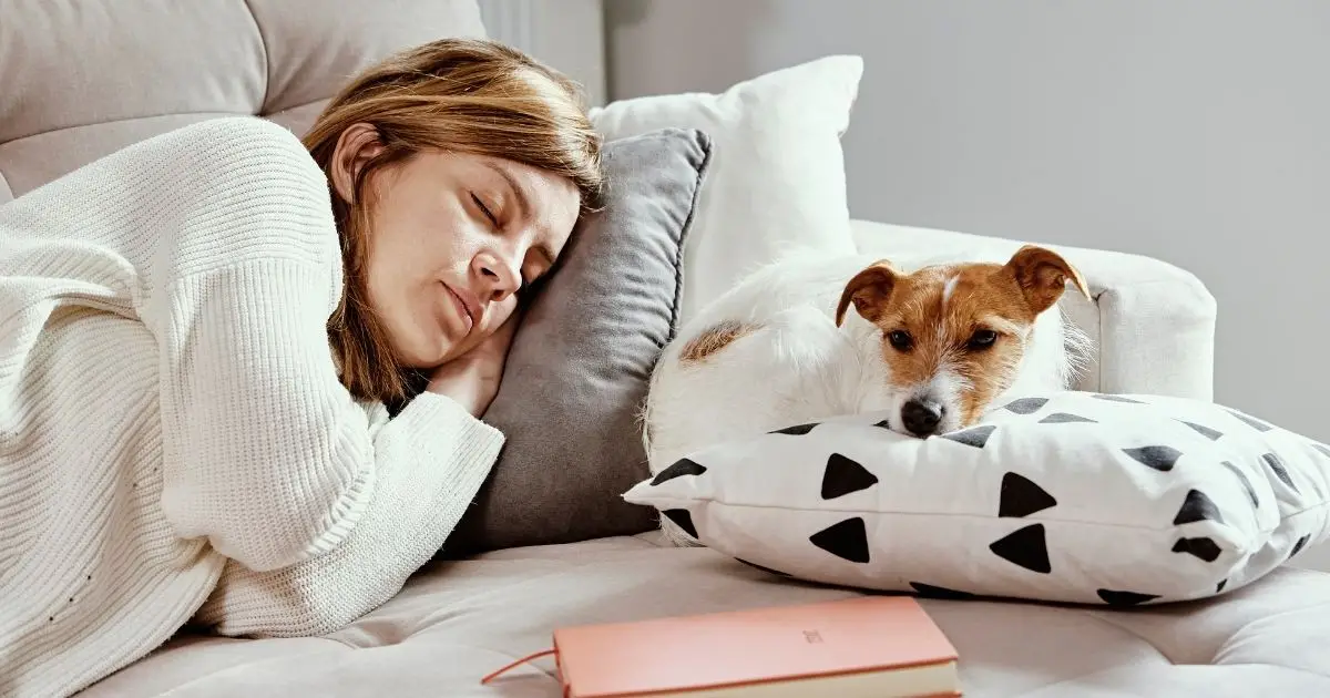 Dogs Sleep With Their Bums Facing You