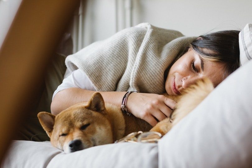 Dogs Sleep with Their Bums Facing You
