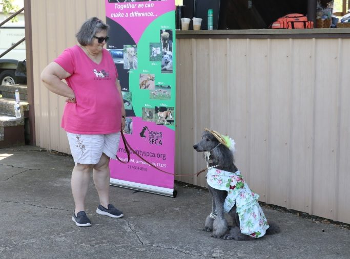 adams county spca