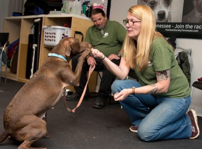 adams county spca