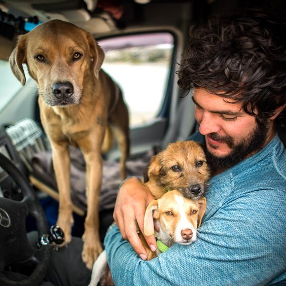 Abington Spca