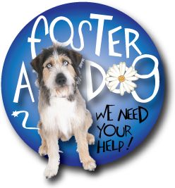 Abington Spca