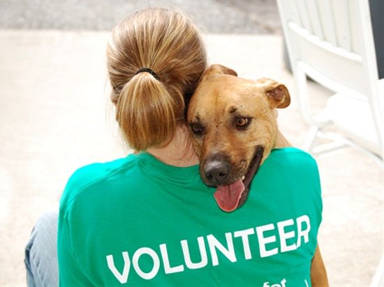 Abington Spca