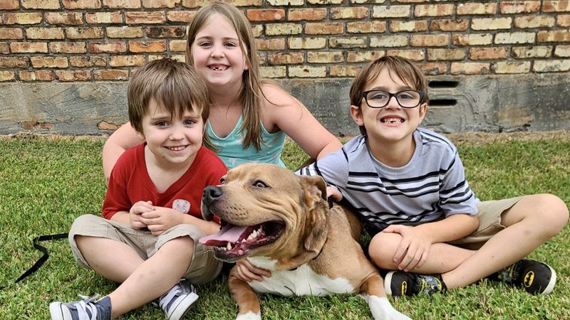 Norco Animal Shelter