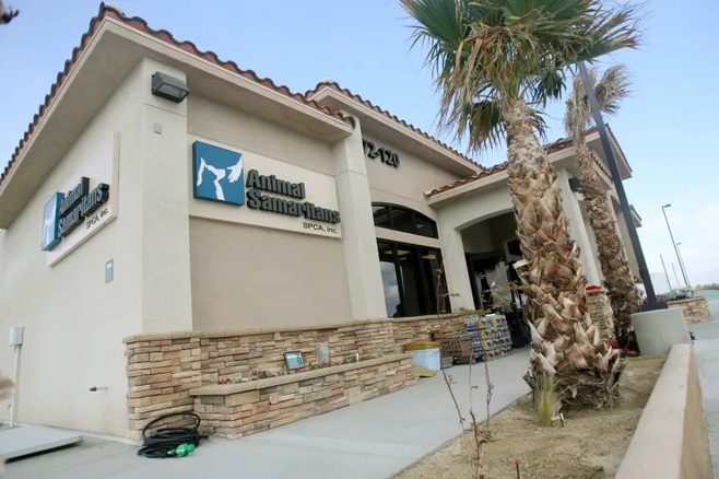 animal samaritans spca