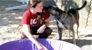 Peninsula Humane Society & SPCA