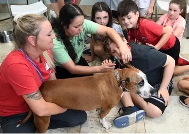 SPCA Brevard