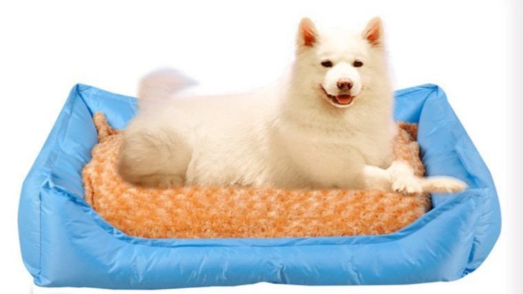 Waterproof Dog Bed