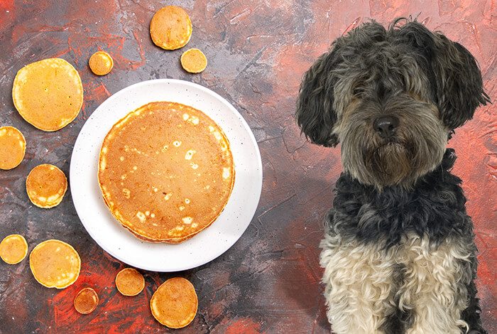 Can Dogs Eat Pancakes