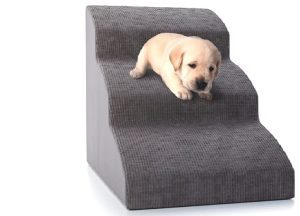 dog stairs
