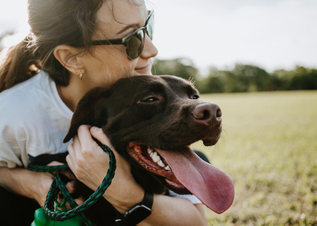 Central California SPCA dog love