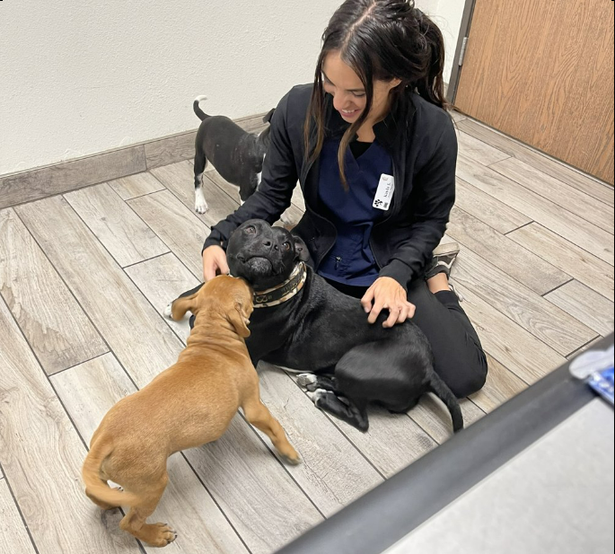 Norco Animal Shelter