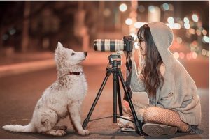 Rockingham SPCA