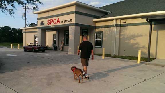 SPCA Brevard