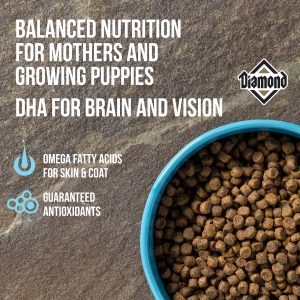 diamond puppy food