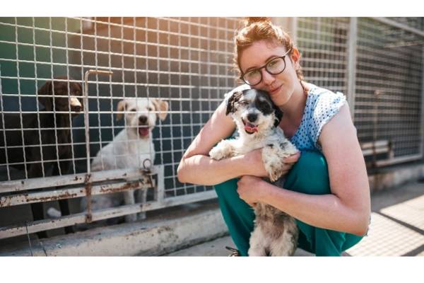 dog adoption