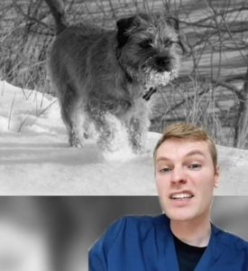 Dog Breeds For Owners