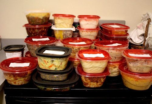 Dog Food Storage Container