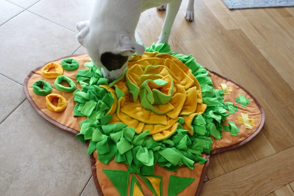 Snuffle mat