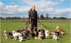 Dog Walking Business