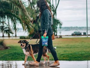 Dog Walking Business