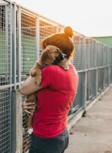 east bay spca dublin