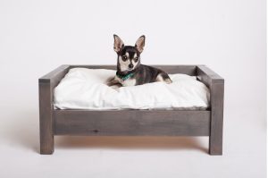 elevated dog bed