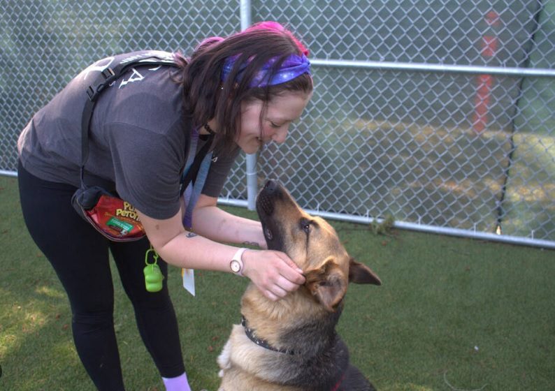  Richmond SPCA