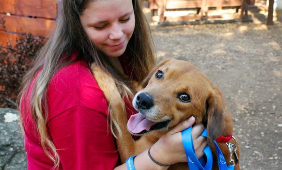Norco Animal Shelter