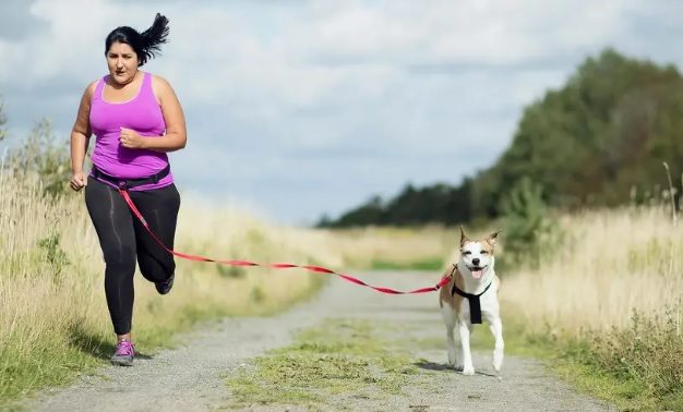 Happy And Healthy Dogs