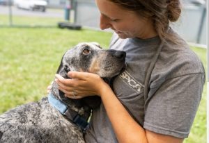 Rockingham SPCA