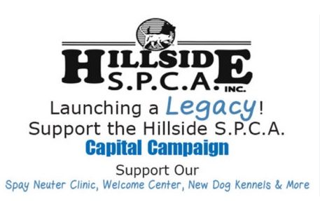 Hillside Spca