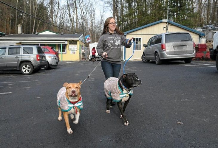 Hillside Spca
