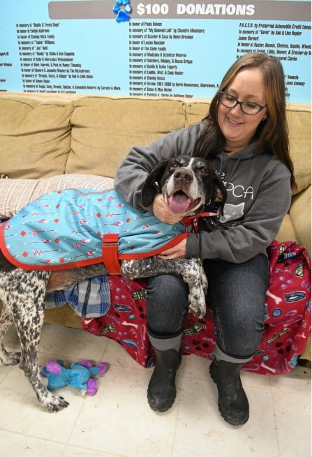 Hillside Spca