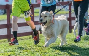 Peninsula Humane Society & SPCA