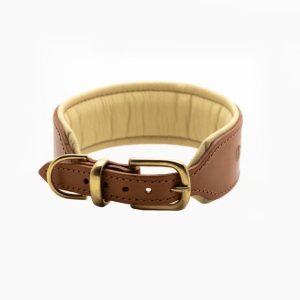leather dog collars