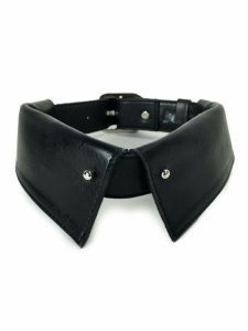 leather dog collars