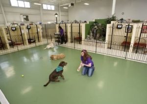 SPCA Vacaville